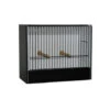 Cage D'exposition Petite Perruche -Nest Vriend Verkoopwinkel cage expo en pvc perruche ondulee devanture noire