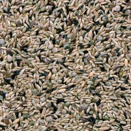 Canaris De Posture Duvo 20Kg 4 Canaris De Posture Duvo 20Kg - Afbeelding 2