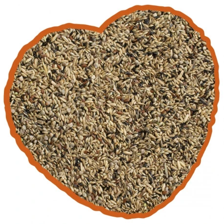 Canaris De Posture Duvo 20Kg 6 Canaris De Posture Duvo 20Kg - Afbeelding 4