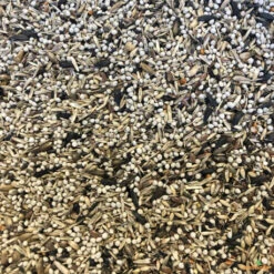 Carduelidi 15kg - Manitoba 6 Carduelidi 15kg - Manitoba -Nest Vriend Verkoopwinkel carduelidi 1