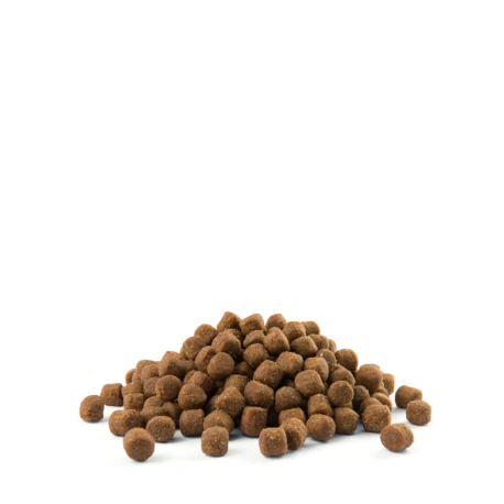 Chiots De Races Moyennes "Puppy Medium" 12,5kg 4 Chiots De Races Moyennes "Puppy Medium" 12,5kg - Afbeelding 2