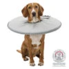 Trixie Collerette De Protection - XS