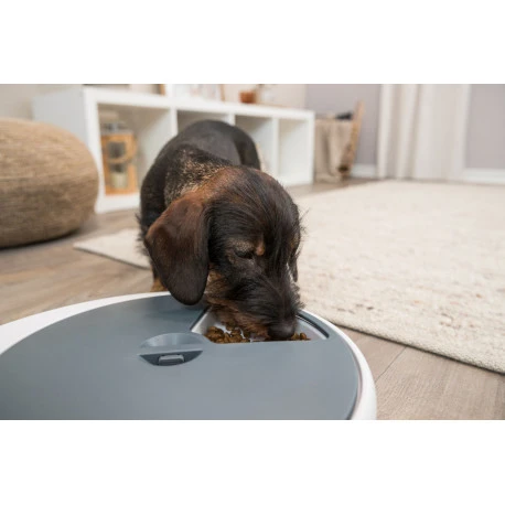 Trixie Distributeur Automatique De Nourriture TX4+1 7 Trixie Distributeur Automatique De Nourriture TX4+1 - Afbeelding 5