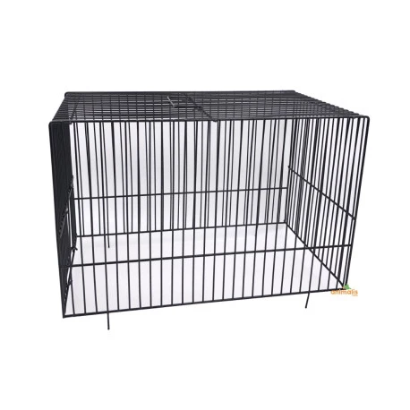 Dôme Cage D'exposition Frisé 3 Dôme Cage D'exposition Frisé