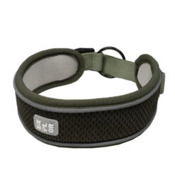 Explor Fit Control Collier Classic Vert M - 39-44cm -Nest Vriend Verkoopwinkel explor fit control collier classic vert m 39 44cm 2