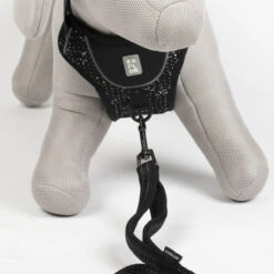 Explor Harnais Classic Noir Granite L - 40-70cm - 77-100cm 15 Explor Harnais Classic Noir Granite L - 40-70cm - 77-100cm -Nest Vriend Verkoopwinkel explor harnais classic noir granite l 40 70cm 77 100cm 5