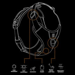 Explor Harnais Classic Vert L - 40-70cm - 77-100cm -Nest Vriend Verkoopwinkel explor harnais classic vert l 40 70cm 77 100cm 2