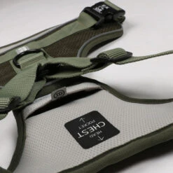 Explor Harnais Classic Vert L - 40-70cm - 77-100cm -Nest Vriend Verkoopwinkel explor harnais classic vert l 40 70cm 77 100cm 4