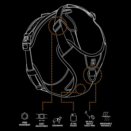 Explor Harnais Classic Vert M - 35-60cm - 57-80cm 5 Explor Harnais Classic Vert M - 35-60cm - 57-80cm - Afbeelding 3