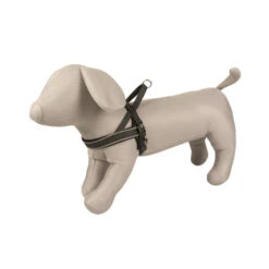 Explor Harnais East En Nylon Noir 50-65cm/20mm -Nest Vriend Verkoopwinkel explor harnais east en nylon noir 50 65cm20mm 1