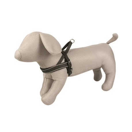 Explor Harnais East En Nylon Noir 65-80cm/25mm 4 Explor Harnais East En Nylon Noir 65-80cm/25mm - Afbeelding 2