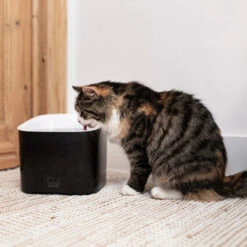 Duvo Fontaine à Eau Manoa Noir/blanc 3L -Nest Vriend Verkoopwinkel fontaine a eau manoa noirblanc 3l 2