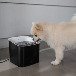 Duvo Fontaine à Eau Manoa Noir/blanc 3L -Nest Vriend Verkoopwinkel fontaine a eau manoa noirblanc 3l 3