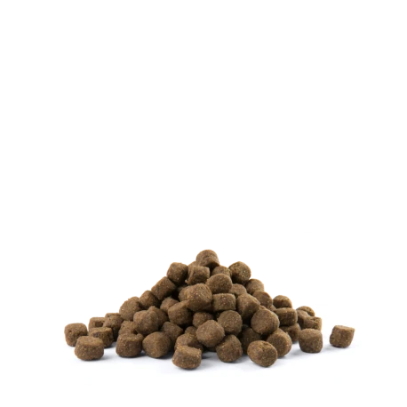 Grands & Moyens Chiens âgés +7 Ans Senior "Medium & Maxi" 12,5kg 4 Grands & Moyens Chiens âgés +7 Ans Senior "Medium & Maxi" 12,5kg - Afbeelding 2