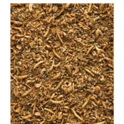 VERSELE-LAGA Insect Patee Premium 500g - Aliment Complet Pour Tous Les Insectivores 5 VERSELE-LAGA Insect Patee Premium 500g - Aliment Complet Pour Tous Les Insectivores -Nest Vriend Verkoopwinkel insect patee premium 500g aliment complet pour tous les insectivores 1