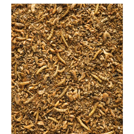 VERSELE-LAGA Insect Patee Premium 500g - Aliment Complet Pour Tous Les Insectivores 4 VERSELE-LAGA Insect Patee Premium 500g - Aliment Complet Pour Tous Les Insectivores - Afbeelding 2