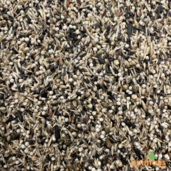 Mélange De Graines Pour Tarins Américains Et Européens 15kg - Hoebre -Nest Vriend Verkoopwinkel melange de graines pour tarins americains et europeens 15kg 2