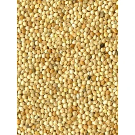 Millet Blanc 20kg 3 Millet Blanc 20kg