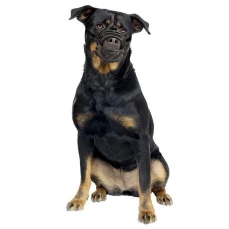 Duvo Muselière Caoutchouc Noir/rouge Xlarge 5 Duvo Muselière Caoutchouc Noir/rouge Xlarge - Afbeelding 3