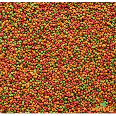 VERSELE-LAGA Nutribird B14 3kg 4 VERSELE-LAGA Nutribird B14 3kg - Afbeelding 2