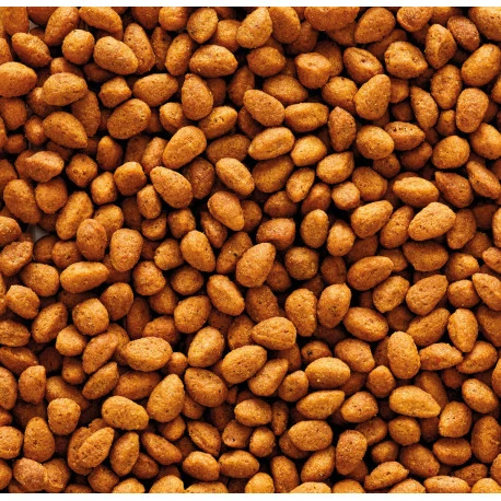 VERSELE-LAGA Nutribird G14 Original 10kg 4 VERSELE-LAGA Nutribird G14 Original 10kg - Afbeelding 2