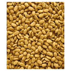 Nest Vriend Verkoopwinkel -Nest Vriend Verkoopwinkel nutribird p15 original 10kg granules extrudes aliment d entretien pour perroquets 1