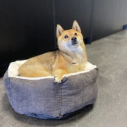 Duvo Panier Hexa Velvet Copper Rouge/blanc M - 60x60x24cm -Nest Vriend Verkoopwinkel panier hexa velvet copper rougeblanc m 60x60x24cm 2