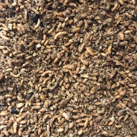 Duvo Pâtée Insectivore Avec 60% D'insectes 6kg 4 Duvo Pâtée Insectivore Avec 60% D'insectes 6kg - Afbeelding 2