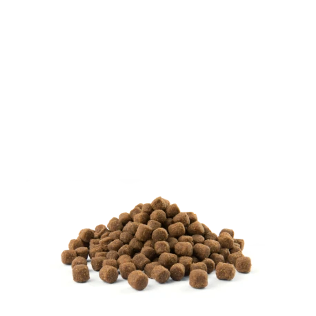 Petits Chiens Adultes "Adult Mini" 7,5kg 4 Petits Chiens Adultes "Adult Mini" 7,5kg - Afbeelding 2