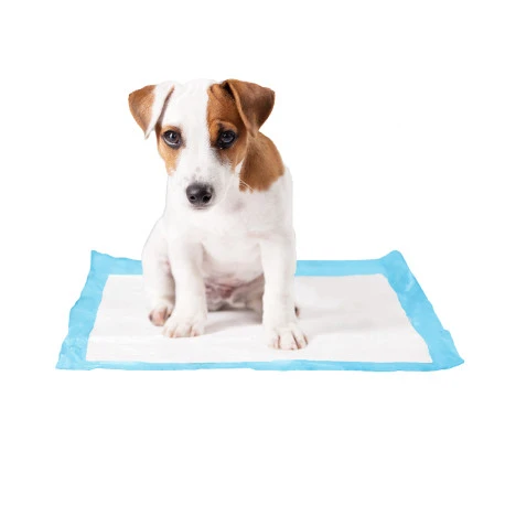 Duvo Serviette D’apprentissage Pour Chiens P-Pad - L - 30st - 45x60cm 3 Duvo Serviette D’apprentissage Pour Chiens P-Pad - L - 30st - 45x60cm