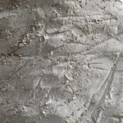 Terre De Diatomée Comestible 10kg 5 Terre De Diatomée Comestible 10kg -Nest Vriend Verkoopwinkel terre de diatomee 1kg 1 1