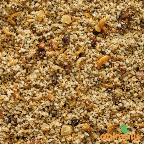 VERSELE-LAGA Uni Pâtée 5kg - Aliment Complet Pour Les Petits Frugivores Et Insectivores 4 VERSELE-LAGA Uni Pâtée 5kg - Aliment Complet Pour Les Petits Frugivores Et Insectivores - Afbeelding 2